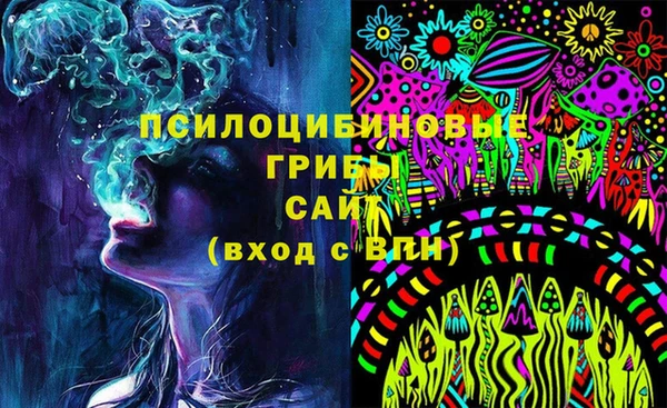 метадон Няндома