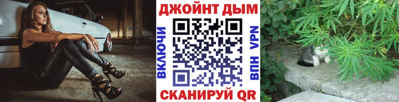 Конопля гибрид  Камешково 